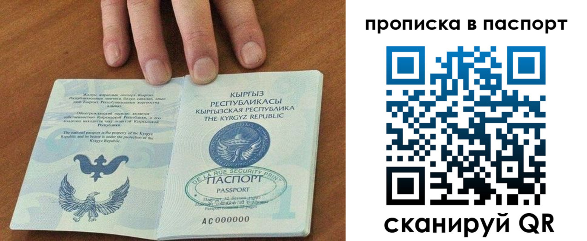 временная регистрация надежно в Петропавловске-Камчатском
